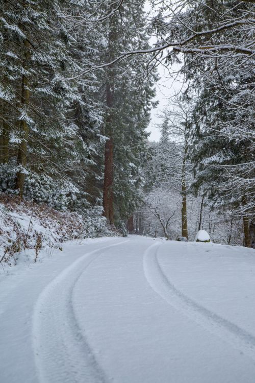 Winter Road