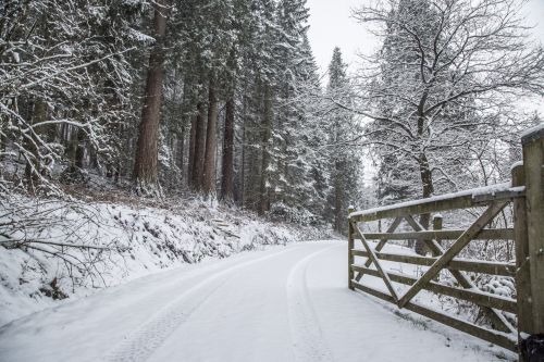 Winter Road