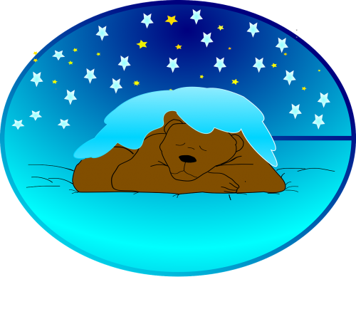 winter sleep hibernation bear