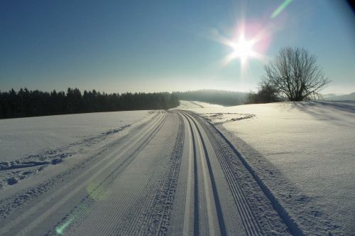 winter sun snow tracks