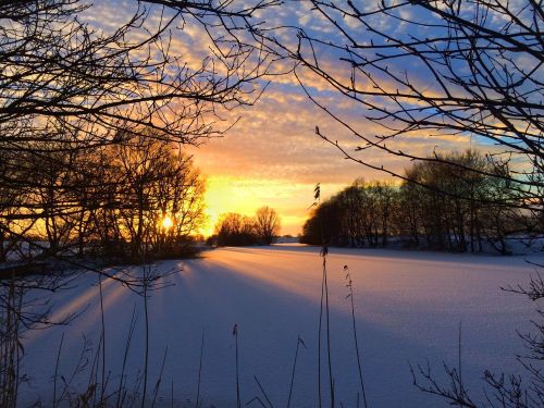 winter sun snow wintry