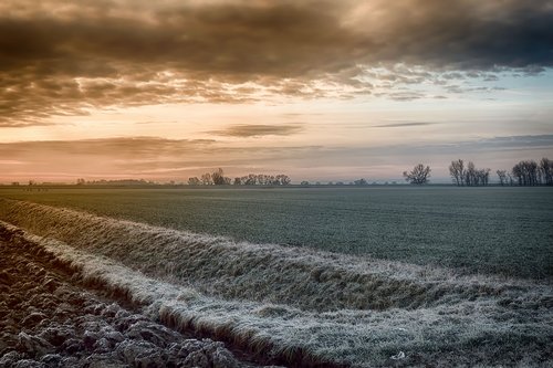 winter sunrise  field  cold