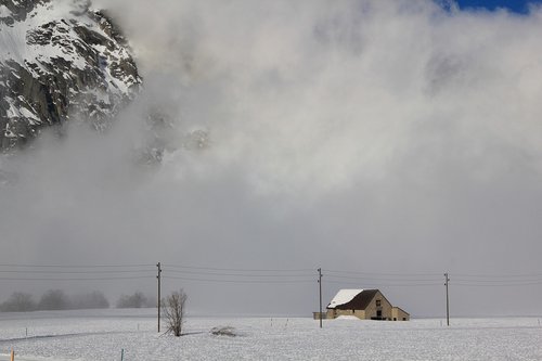 winter winter  snow  landscape