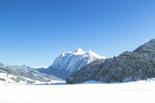 Winter Landscape