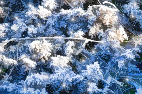 Wintery Bush Background