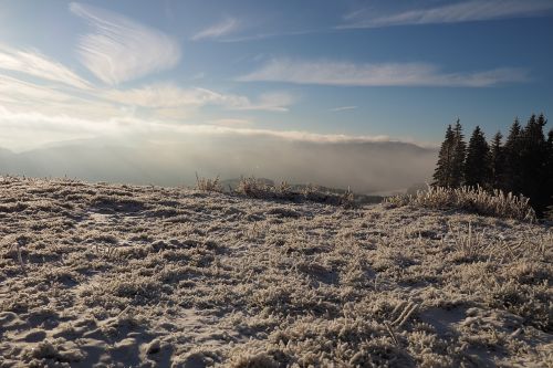 wintry winter snow