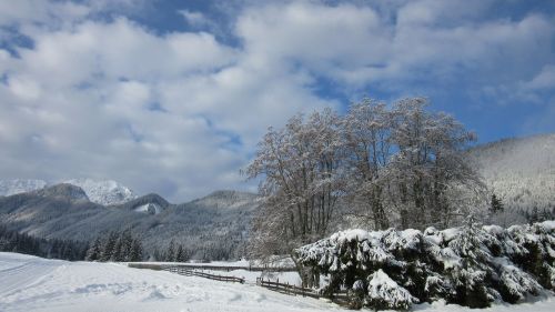 wintry new zealand landscape