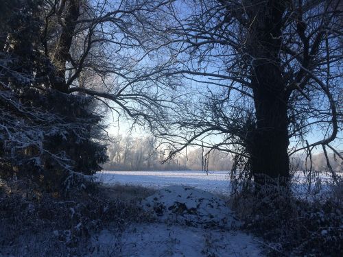 wintry snow morgenstimmung in winter