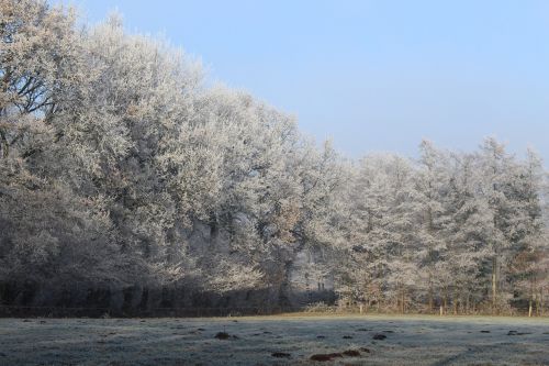 wintry winter cold