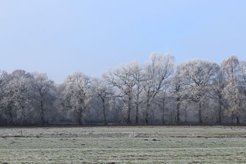 wintry winter cold