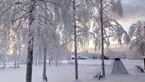 wintry christmas snow