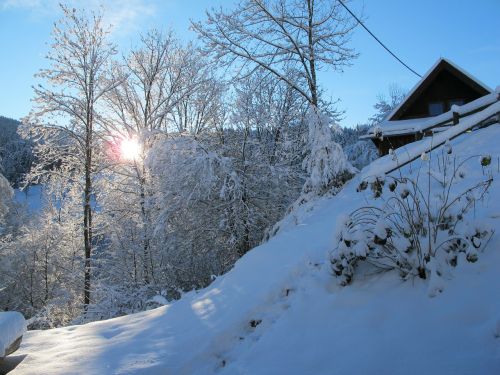 wintry black forest snow