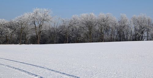 wintry iced winter mood