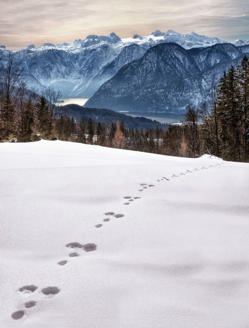 wintry snow traces