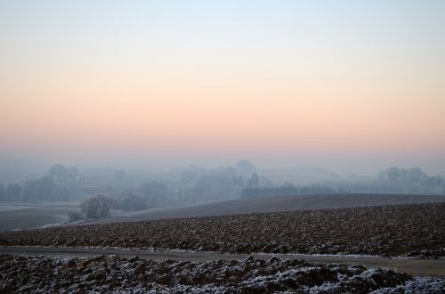 wintry fog ripe