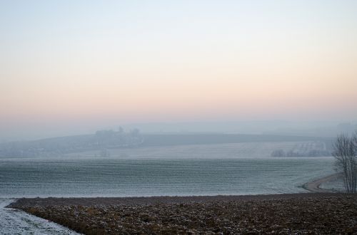 wintry fog ripe