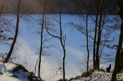 wintry geforener lake winter forest