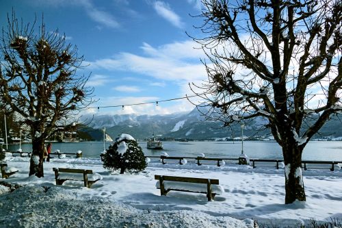 wintry winter lake lake