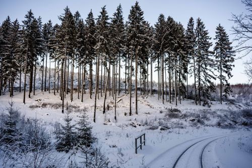 wintry resin snow