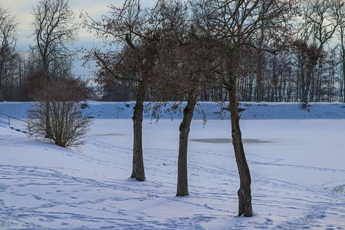 wintry  lakeside  frozen