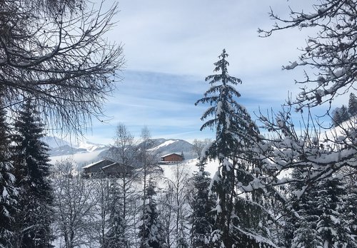 wintry  alpbach valley  alpine