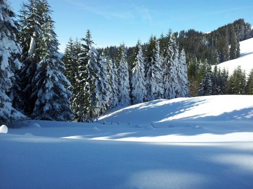 wintry winter alpine