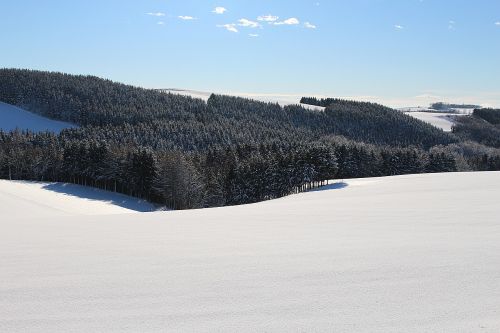 wintry winter mood snow landscape