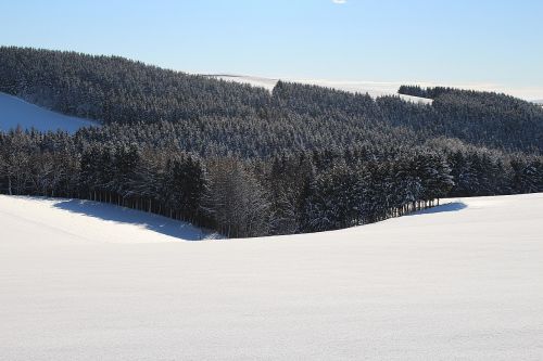 wintry winter mood snow landscape
