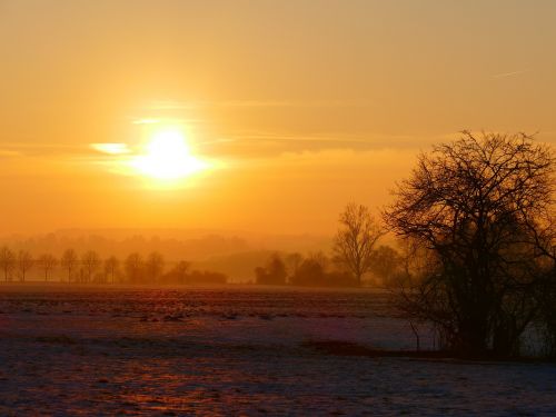 wintry sunset trees