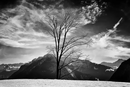 wintry landscape snow