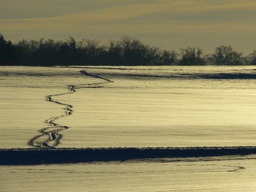 wintry winter snow