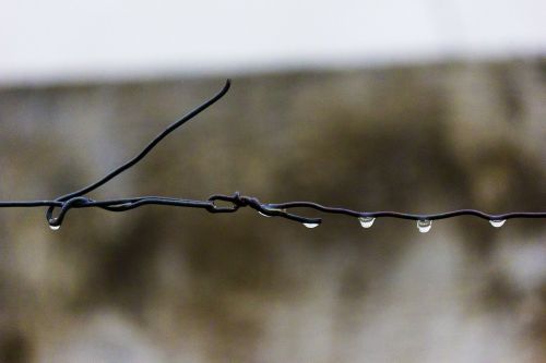 wire barbed rain