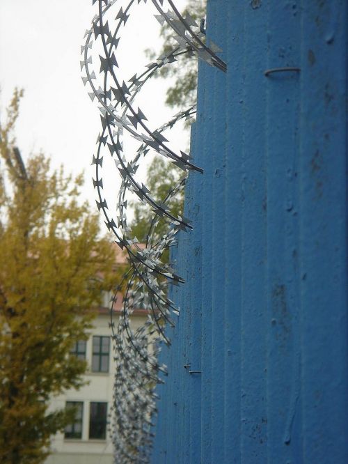 wire spines fence