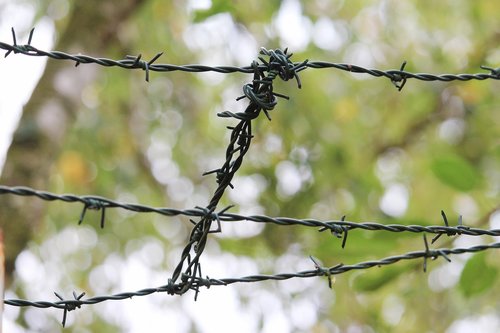 wire  spiny  fencing