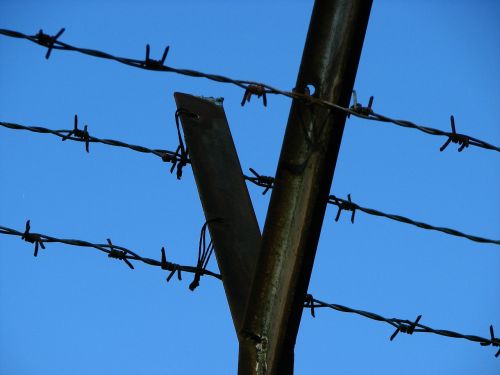 wire barbed wire fence