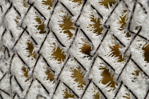 wire mesh fence fence hoarfrost