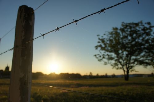 wiring fence barbed wire