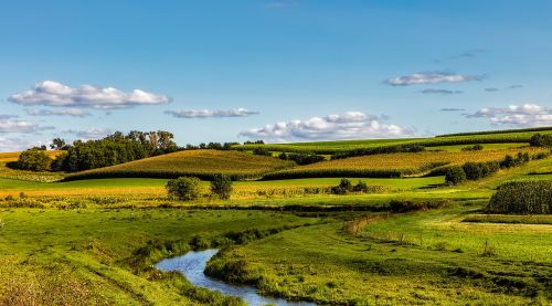 wisconsin panorama fields