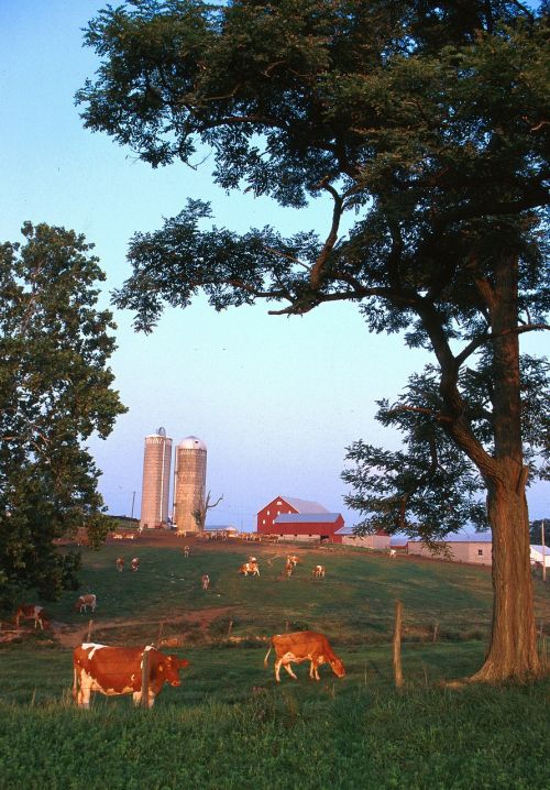 wisconsin landscape farm