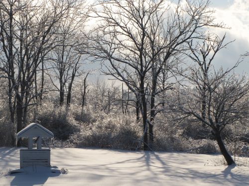 wishing well ice snow