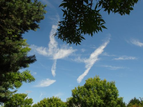 Wispy Clouds In Blue Sky