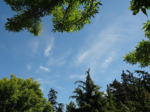 Wispy Clouds In Blue Sky 2