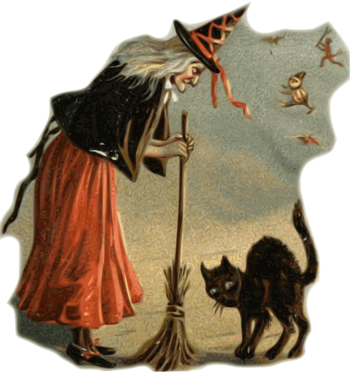 witch black cat broom