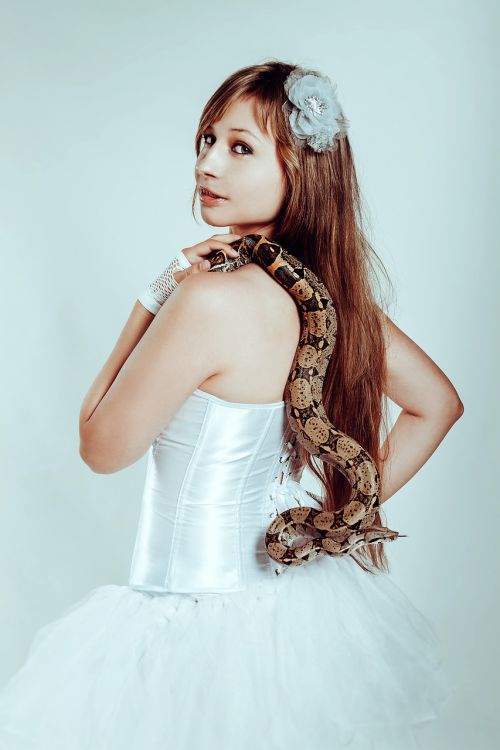 with a snake boa constrictor snake