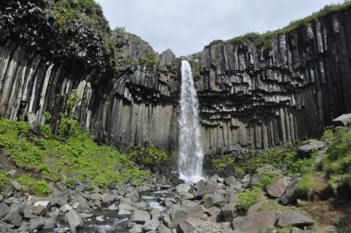 Svartifoss Waterfall In Iceland