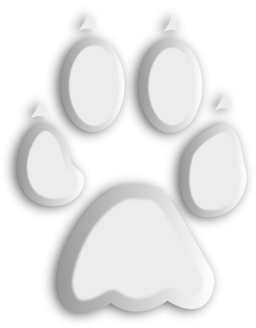 wolf paw footprint