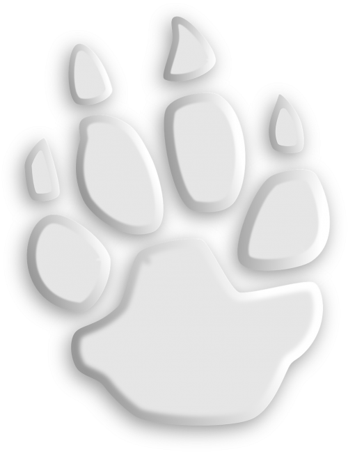 wolf paw footprint