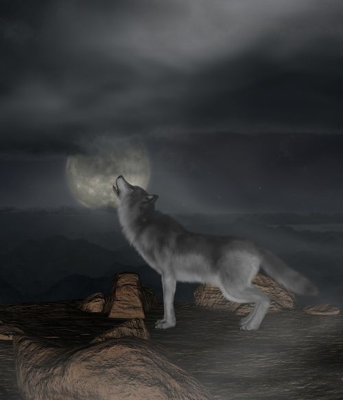 wolf moon howl