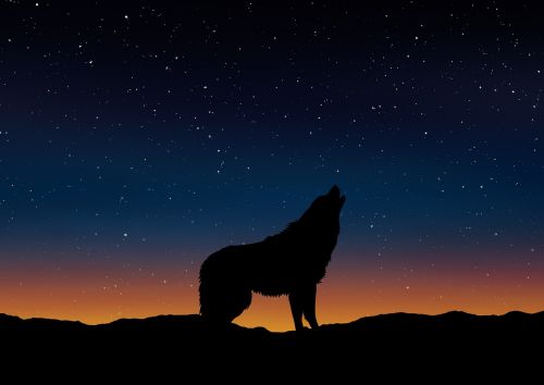 wolf silhouette landscape