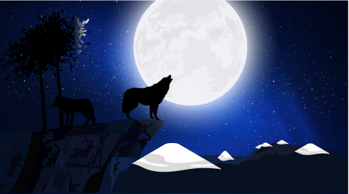 wolf twilight new moon
